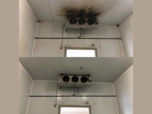 igienizzazione celle frigo 